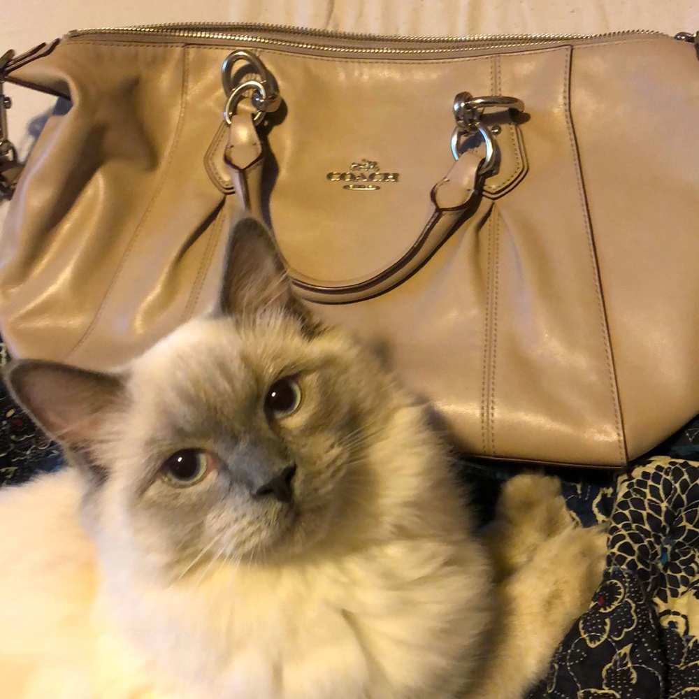 Coach leather purse used once